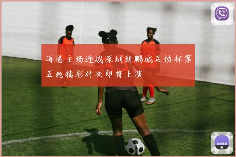 海港主场迎战深圳新鹏城足协杯第五轮精彩对决即将上演